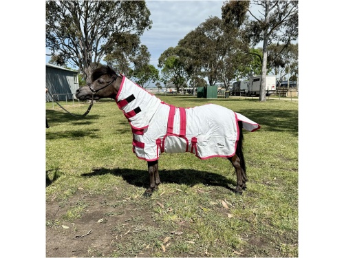 Rip Stop Cotton Combo