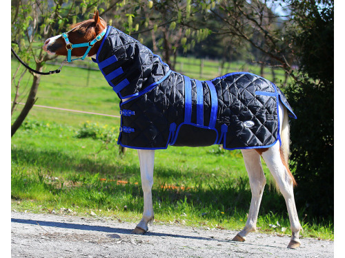 Miniature Doona Combo