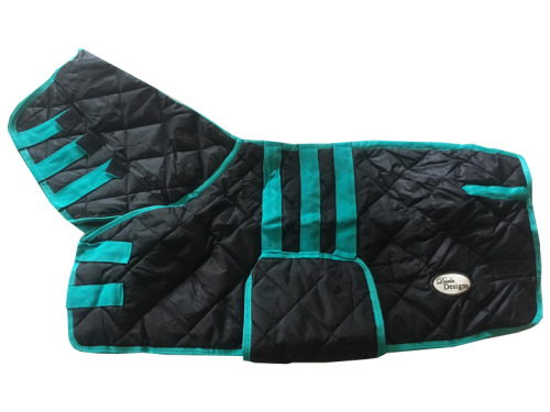 Miniature Doona Combo - 3’9” Turquoise Binding