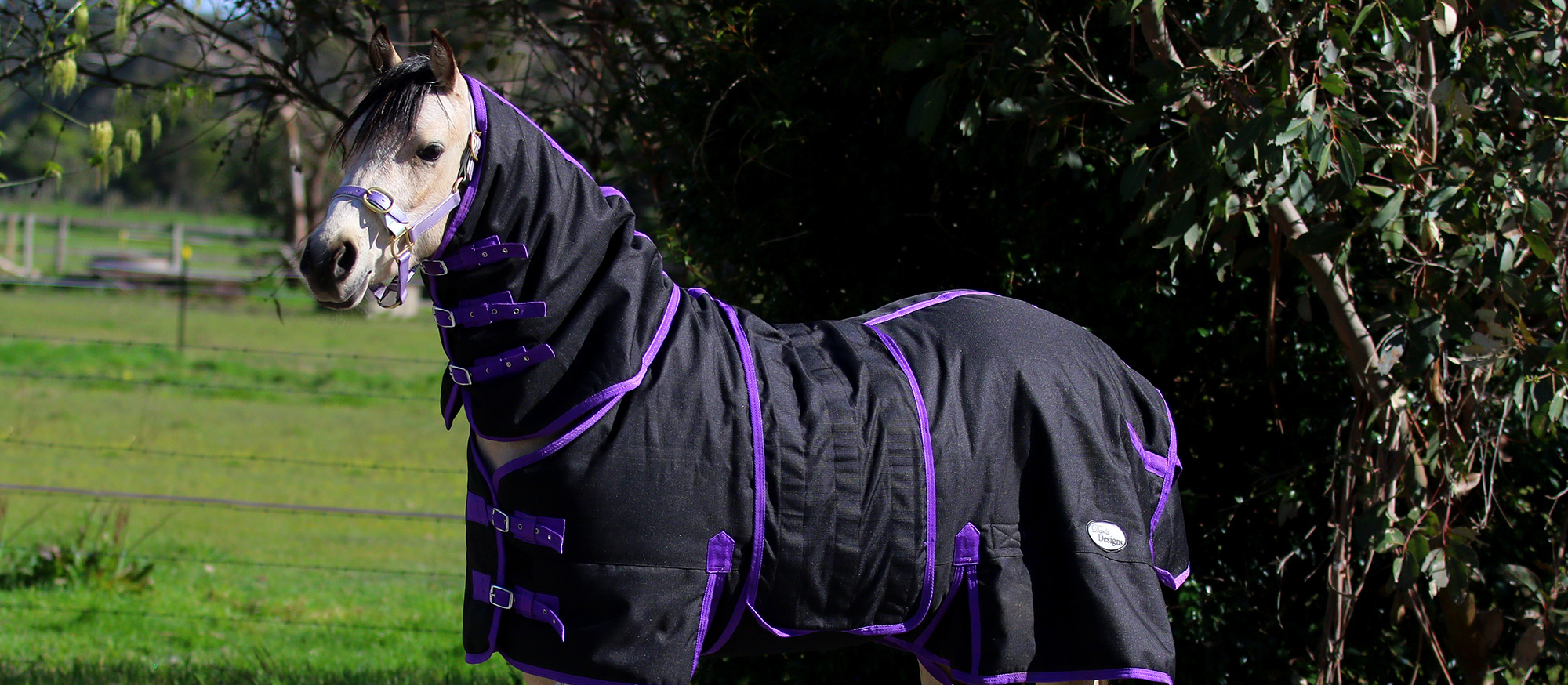 Darla Designs Rugs Horse Rugs Miniature Horse Rugs Pony Rugs